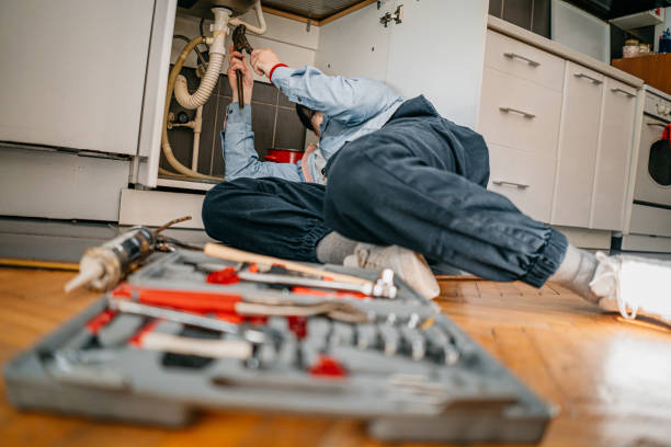 Best Clogged Drain Plumber  in Bellevue, OH